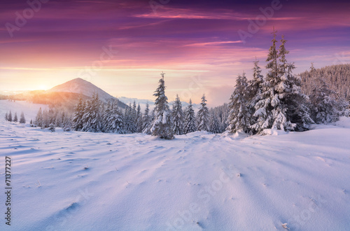 Colorful winter sunrise in the mountains © Andrew Mayovskyy