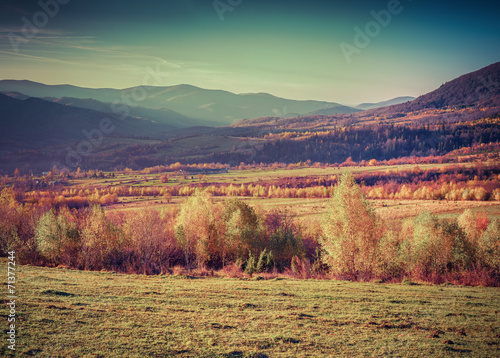 Golden autumn in the mountains.