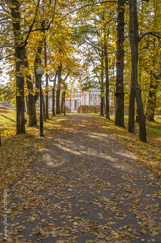 Autumn Road In The Park Kadriorg Autumn Road In The Park Kadriorg
