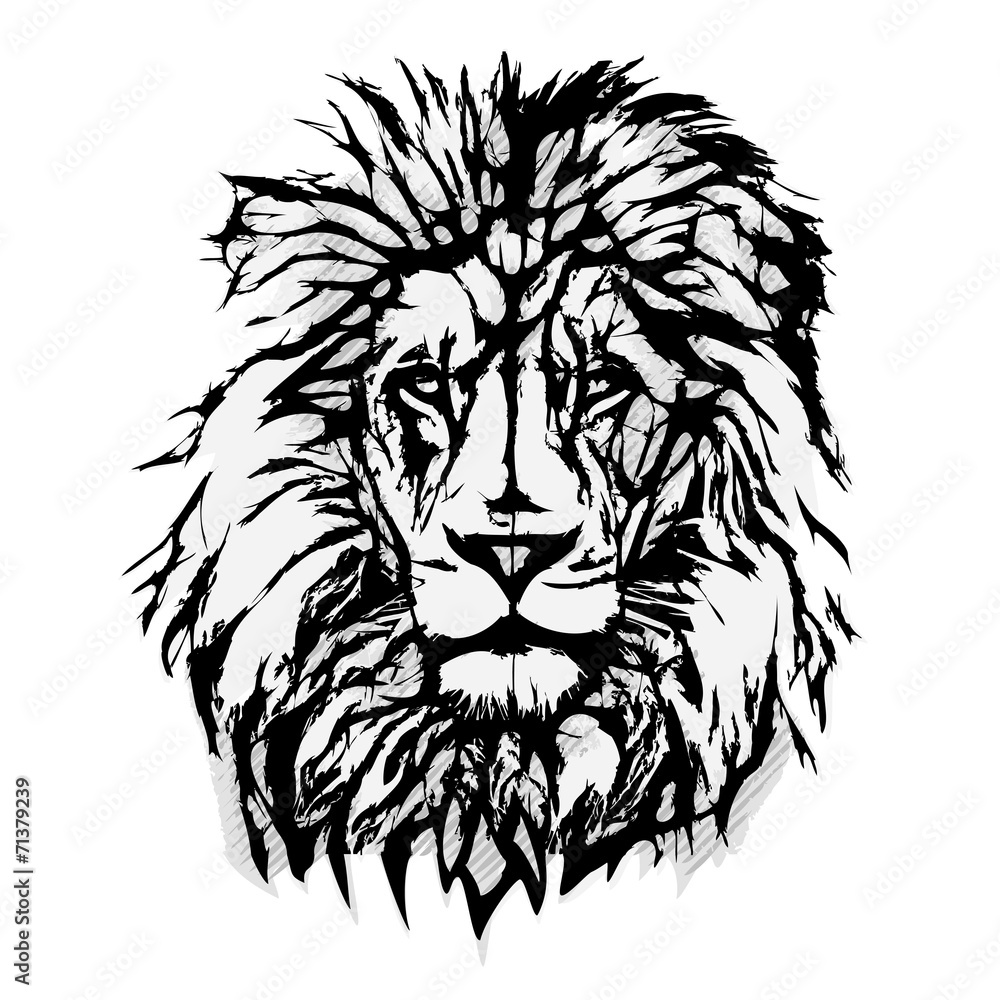 Obraz premium Lion Head Graphic