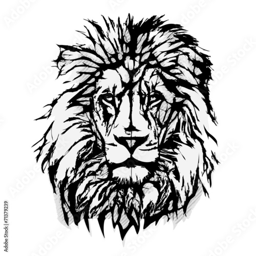 Fototapeta Naklejka Na Ścianę i Meble -  Lion Head Graphic