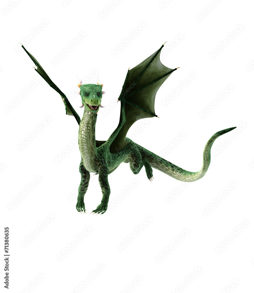 Fototapeta premium dragon