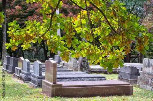 Cemetery / graveyard in autumn