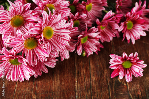 Fototapeta Naklejka Na Ścianę i Meble -  Purple chrysanthemum on wooden background