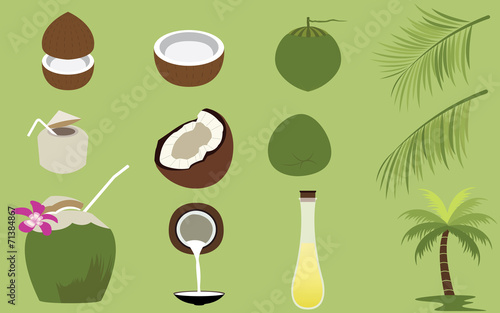 Set of many Products of Coconut Tropical Fruit Vectors