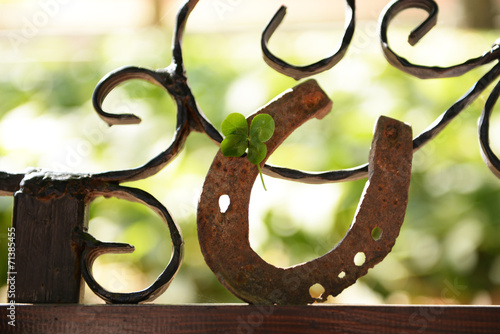Old horse shoe with clover leaf, outdoors
