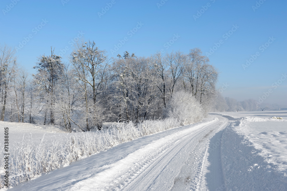 Winter country road