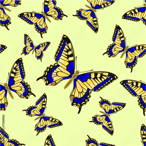 Seamless texture flight Butterfly Inachis io vector