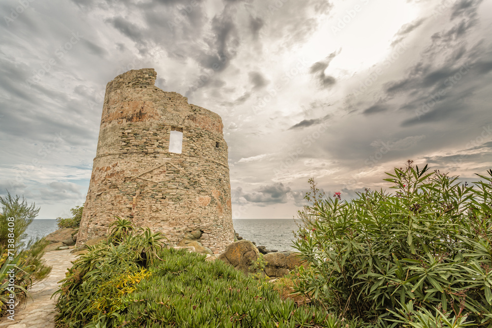 Genoese tower at Erbalunga On Cap Corse in Corsica