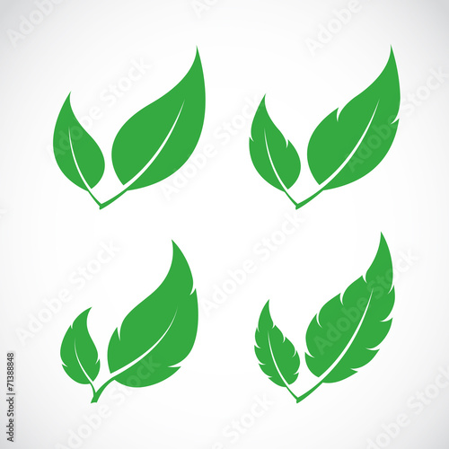Vector leaves icon set on white background
