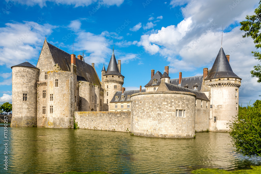 Moat with chateau of Sully sur Loire