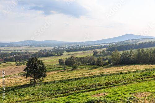 Widok na Łysicę od strony Św. Katarzyny,Góry Świętokrzyskie