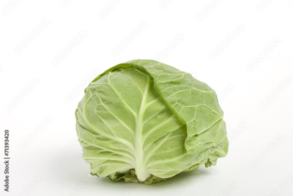 キャベツ キャベツ