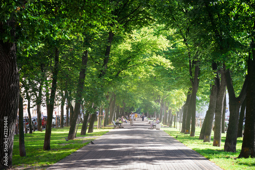 Fototapeta Naklejka Na Ścianę i Meble -  Green city park in sunny summer day
