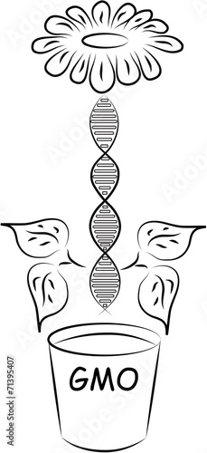Doodle GMO illustration