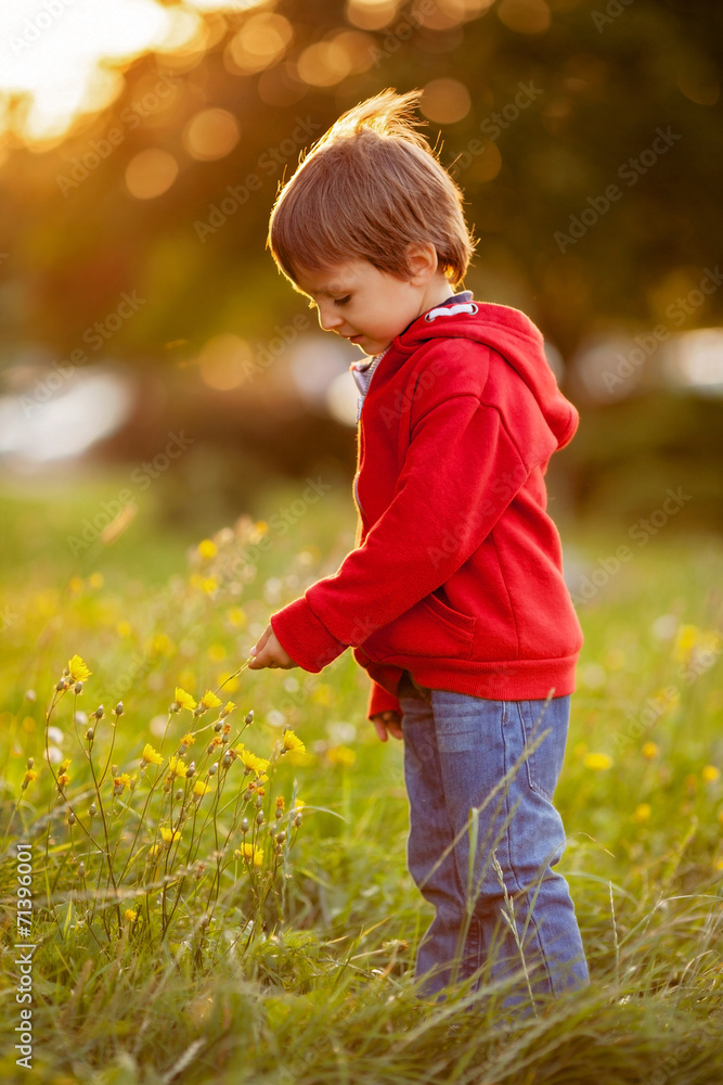 Adorable boy with his teddy friend, sitting on a lawn Adorable boy with his teddy friend, sitting on a lawn