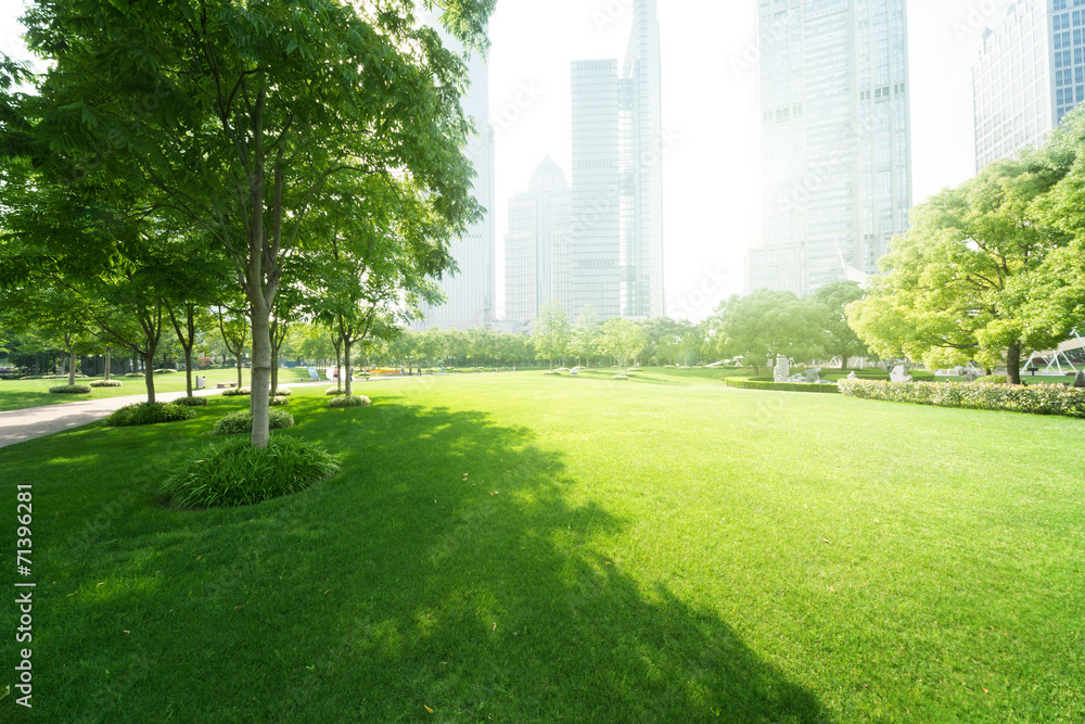 Fototapeta premium park w centrum finansowym Lujiazui w Szanghaju w Chinach