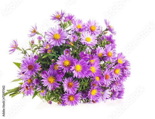 Fototapeta Naklejka Na Ścianę i Meble -  Bouquet Purple autumn flowers isolated on white background