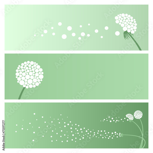 card with dandelion