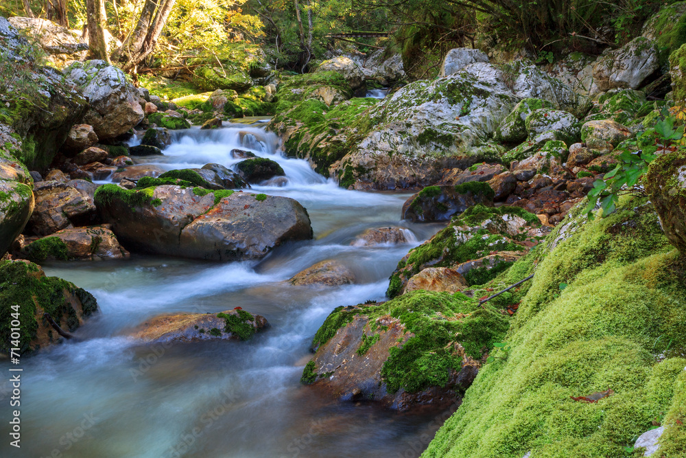 Mountain stream in the Lepena valley Mountain stream in the Lepena valley