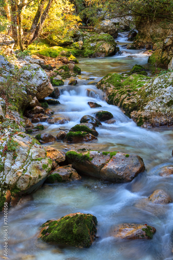 Mountain stream in the Lepena valley