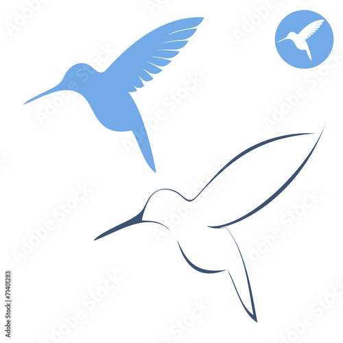 Hummingbird