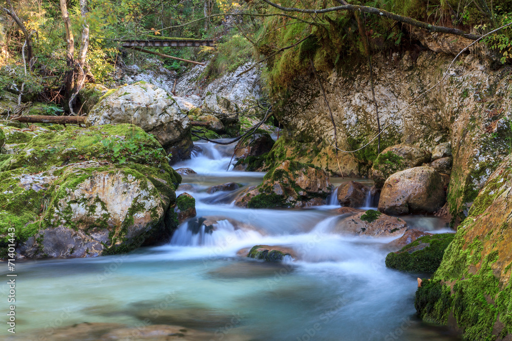 Mountain stream in the Lepena valley Mountain stream in the Lepena valley