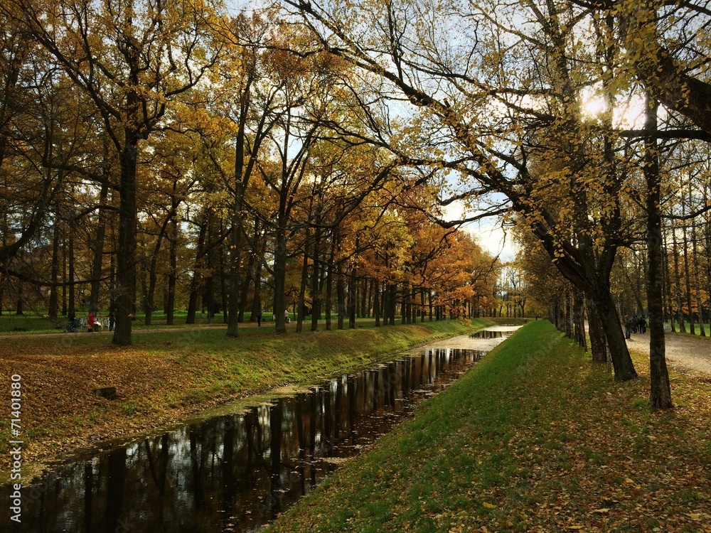 autumn landscape