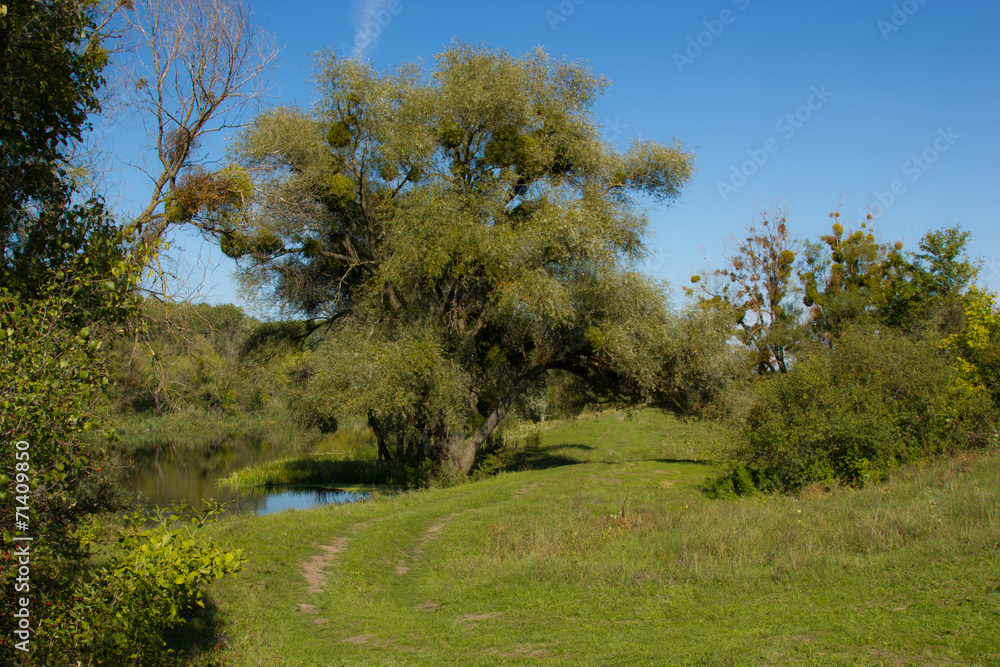 Wooden footpath along the river