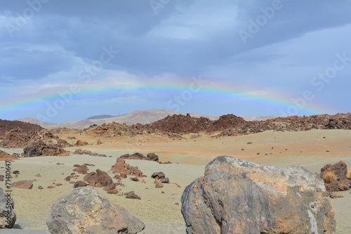 Volcanic landscape on Teide  Tenerife  Canary Islands  Spain