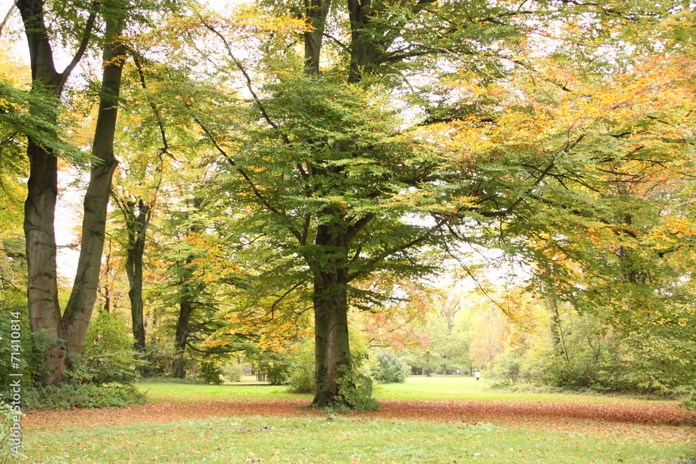 Naklejka premium Englischer Garten in München im Herbst