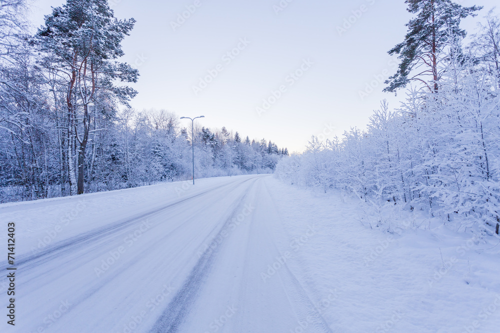 Winter evening forest with road covered with snow Winter evening forest with road covered with snow