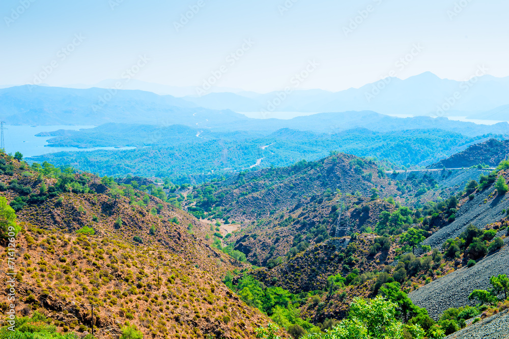panorama of the beautiful valley with coniferous forests panorama of the beautiful valley with coniferous forests
