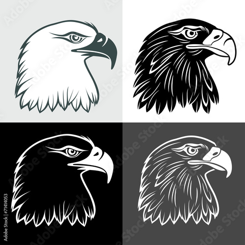 eagle head