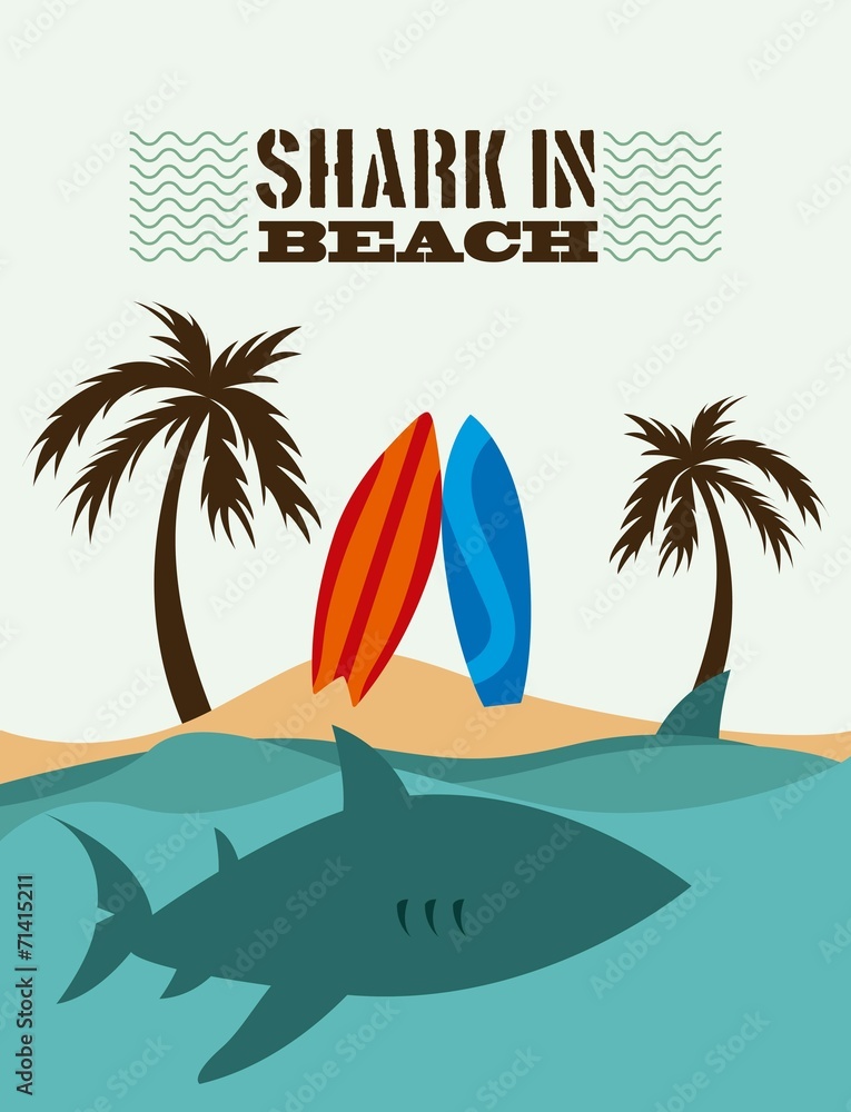 shark design