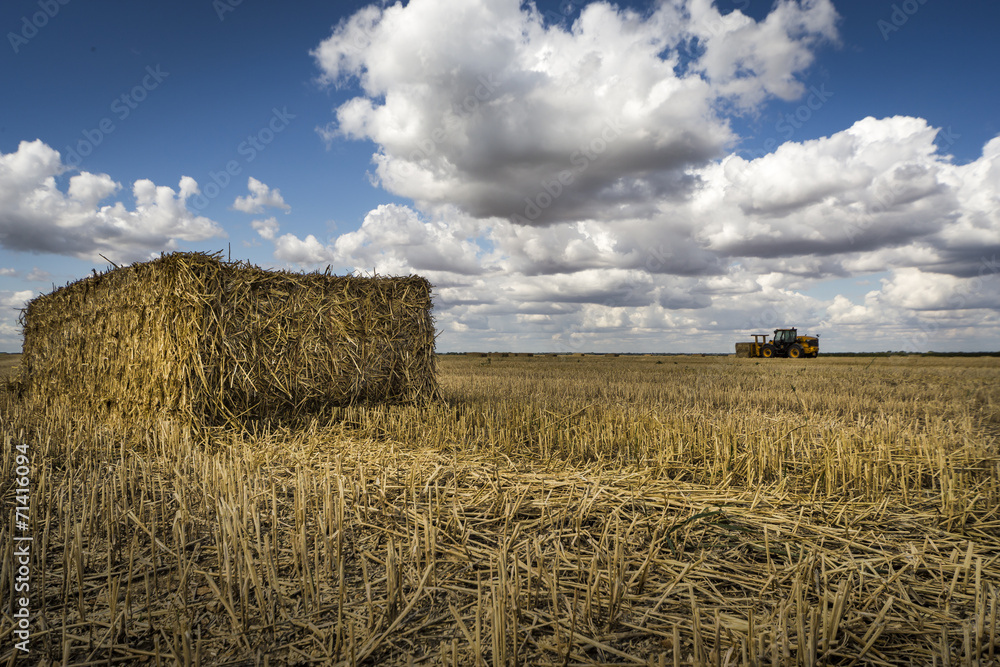 Fototapeta premium Straw bale, tractor on the horizon, fluffy cloud blue skies