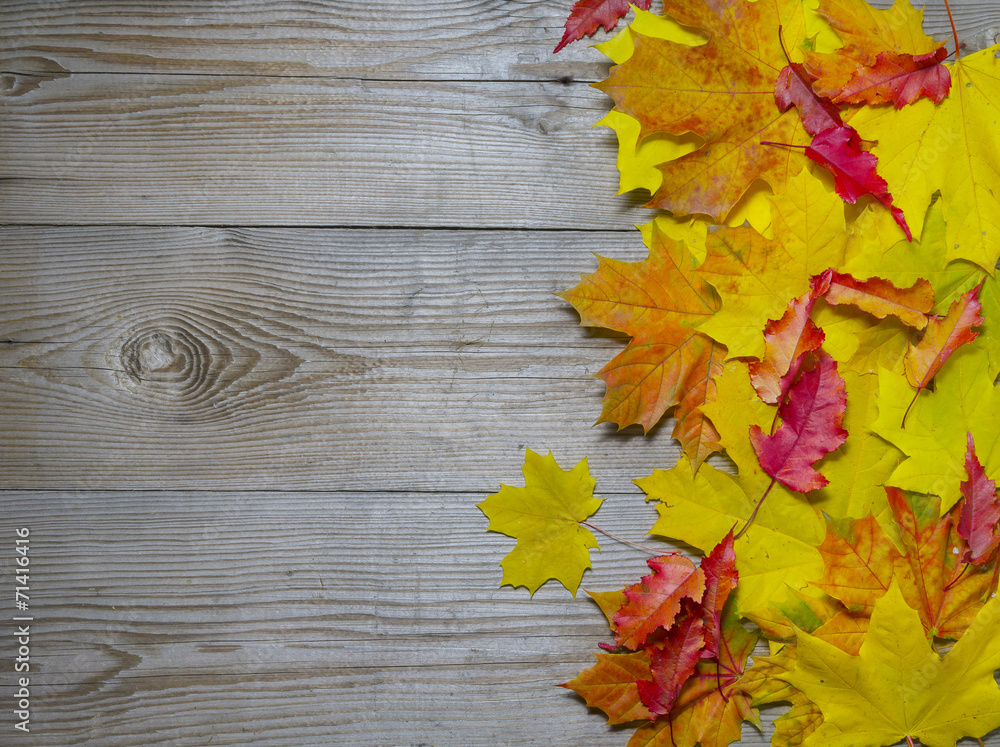 Autumnal maple leaves on old wood background Autumnal maple leaves on old wood background