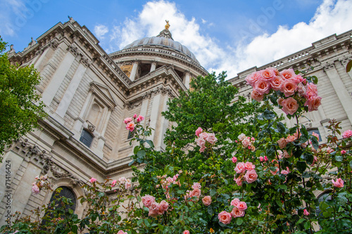 St. Pauls cathedral, view from the garden, London