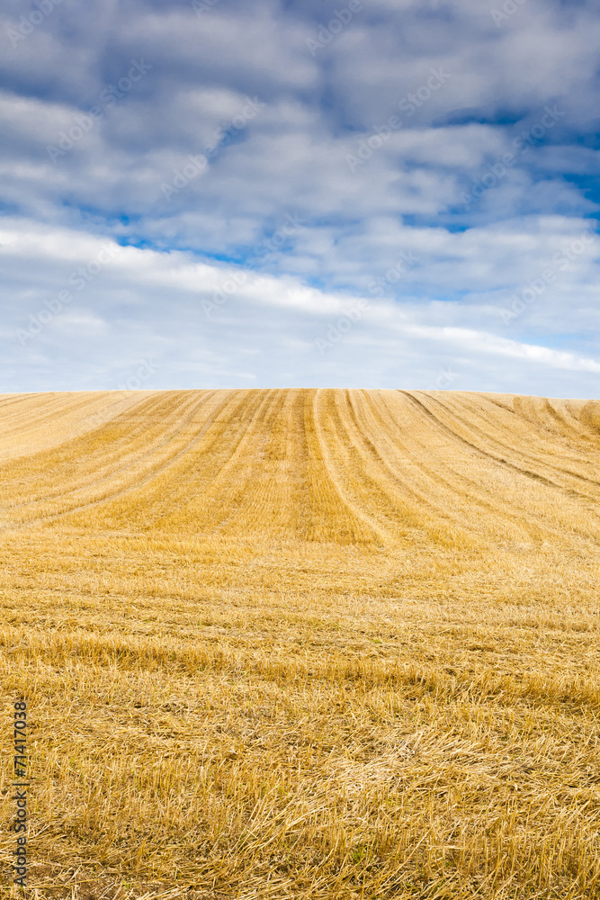 Harvested stubble fields with blue sky and clouds