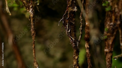 Ein Gedi Nature Reserve. israel. The Dead Sea