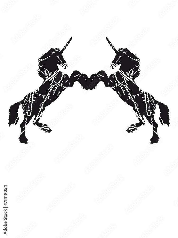 Kratzer alt risse 2 Einhörner design cool