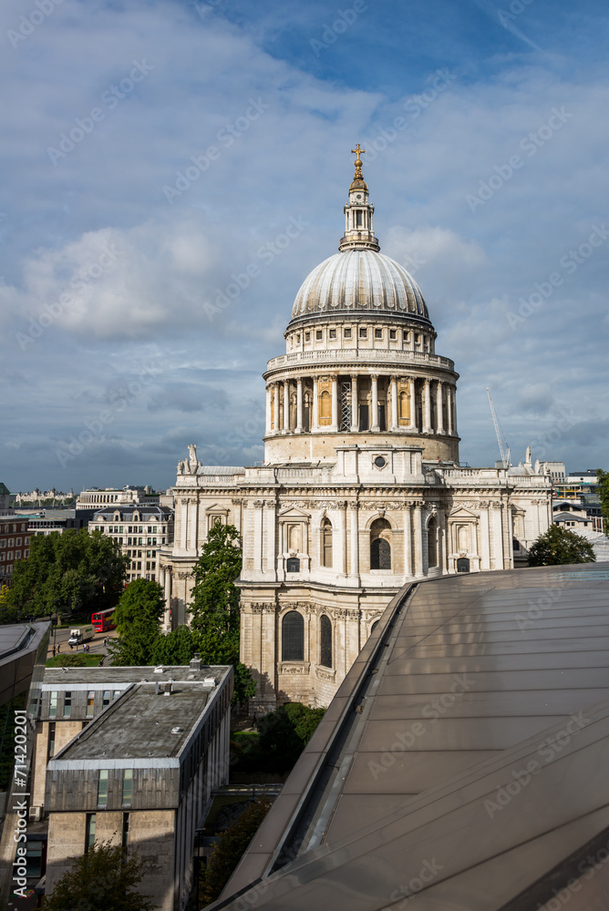 Fototapeta premium St Paul's Cathedral