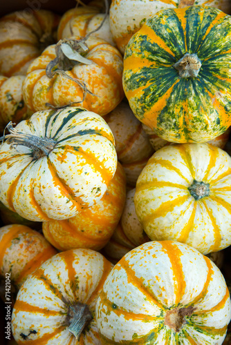 pumpkins and gourds fresh picked from the farm