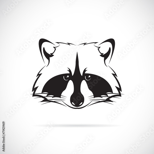 Vector of a raccoon face on white background. Animal. 