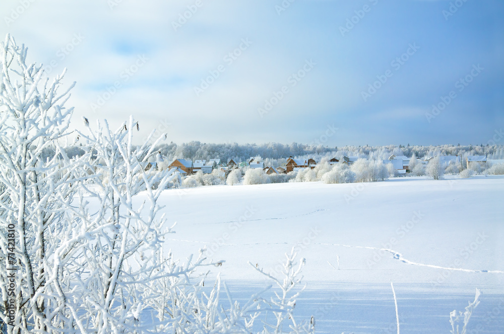 Obraz premium rural winter landscape with the village and the forest