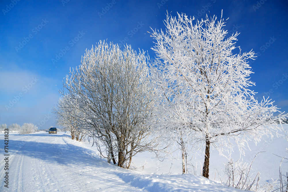 winter landscape with the road the forest and the blue sky winter landscape with the road the forest and the blue sky