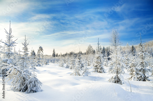 winter landscape with the forest and blue sky