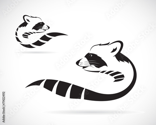 Vector of a raccoon on white background. Animal. Easy editable layered vector illustration.