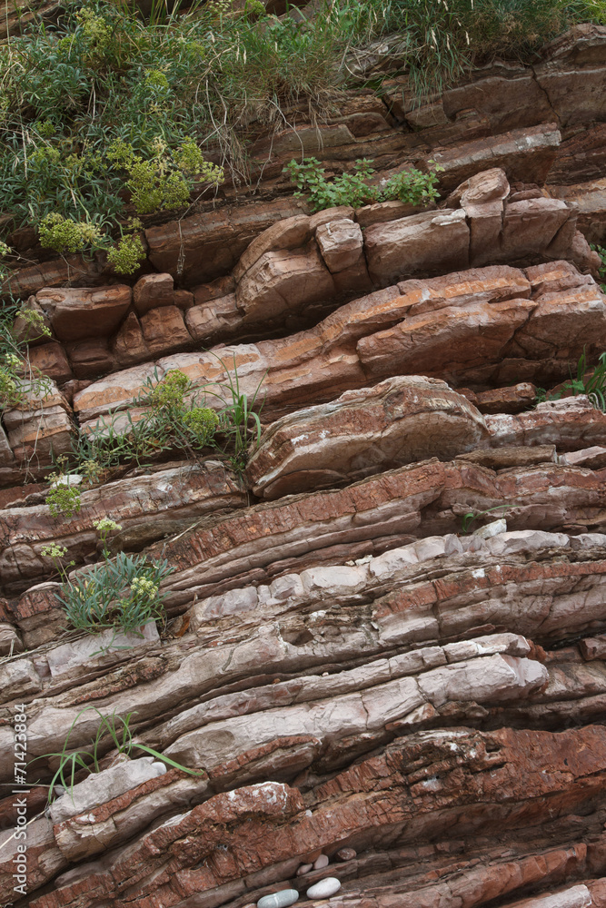 red rocks with growing plants close-up, vertical red rocks with growing plants close-up, vertical