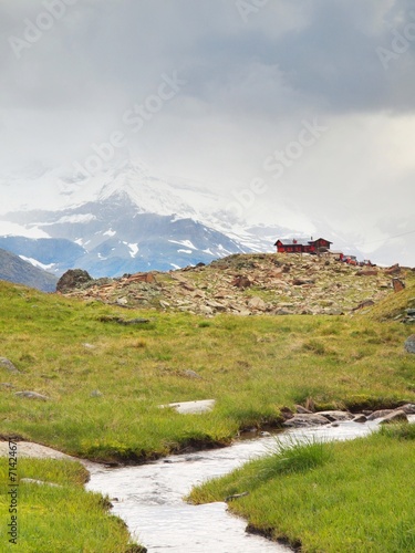 Stream in fresh green Alps meadow, snowy peaks of Alps  © rdonar